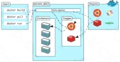 312-50v12 dumps exhibit