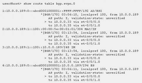 JN0-662 dumps exhibit