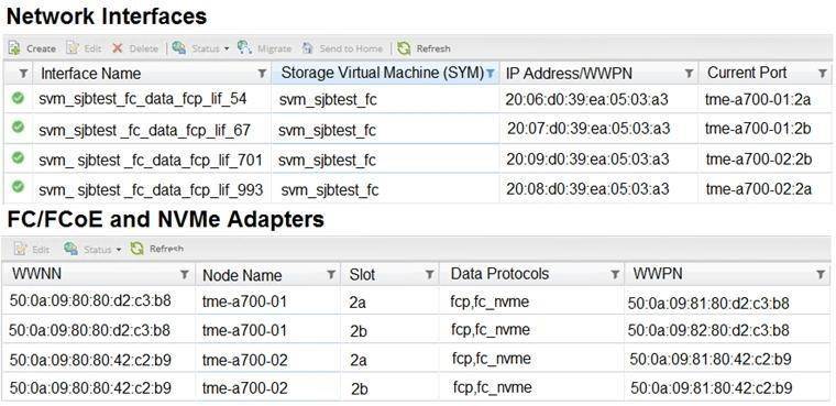 NS0-161 dumps exhibit