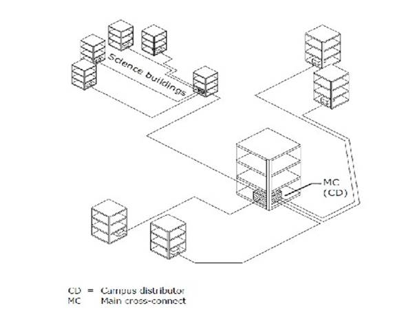 RCDD dumps exhibit